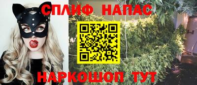 ПСИЛОЦИБИНОВЫЕ ГРИБЫ Лесосибирск