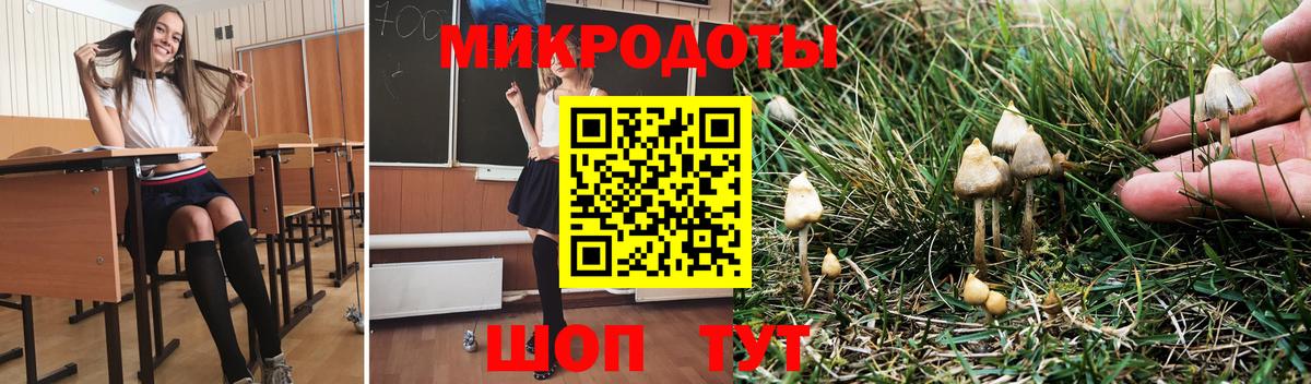Галлюциногенные грибы Psilocybine cubensis Екатеринбург