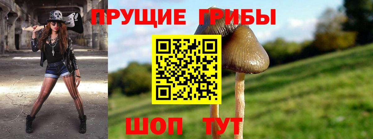 Екатеринбург  Галлюциногенные грибы Magic Shrooms  Вход с VPN 